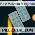 Raíz Malvada Milagrosa 29